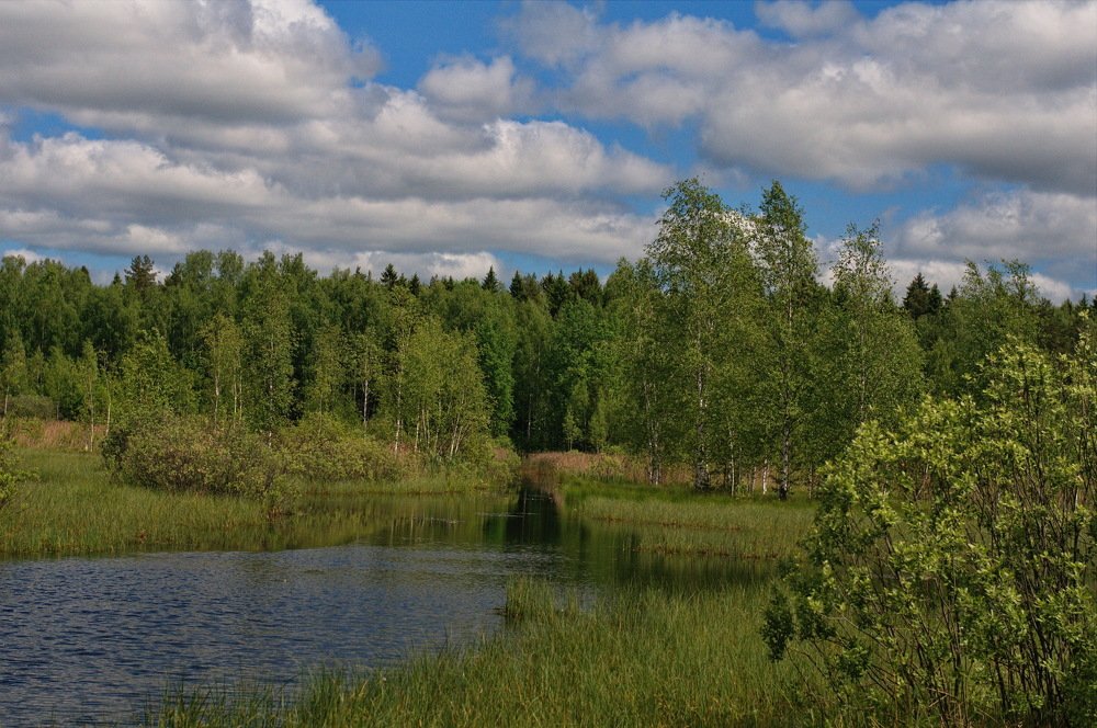 Photograph by vladimir