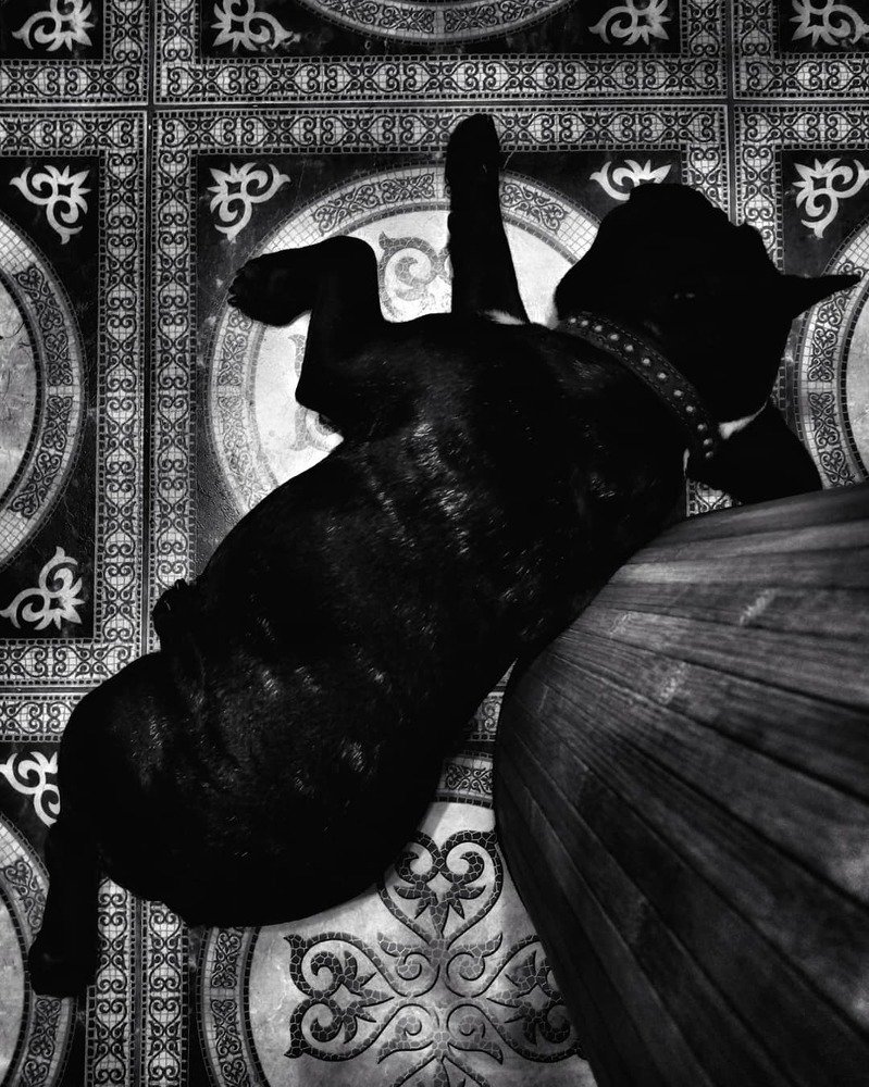 Photograph by Алексей Бобов