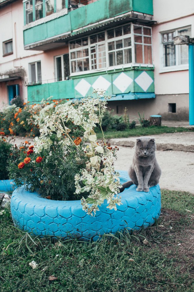 Photograph by Елена