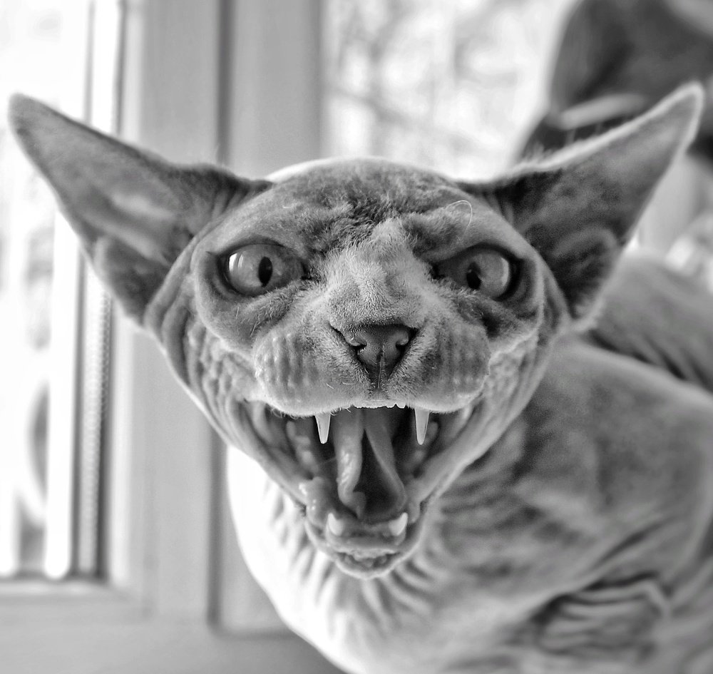 Photograph by Марина Шамич