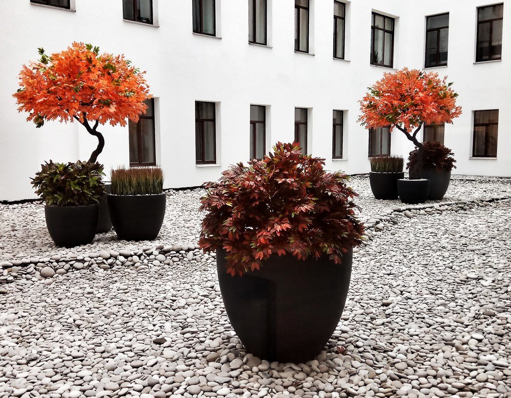 Photograph by Алексей Бобов