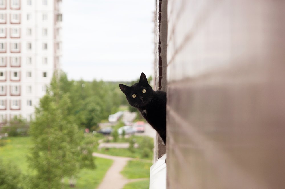 Фотография автора Клавдия Паргачёва