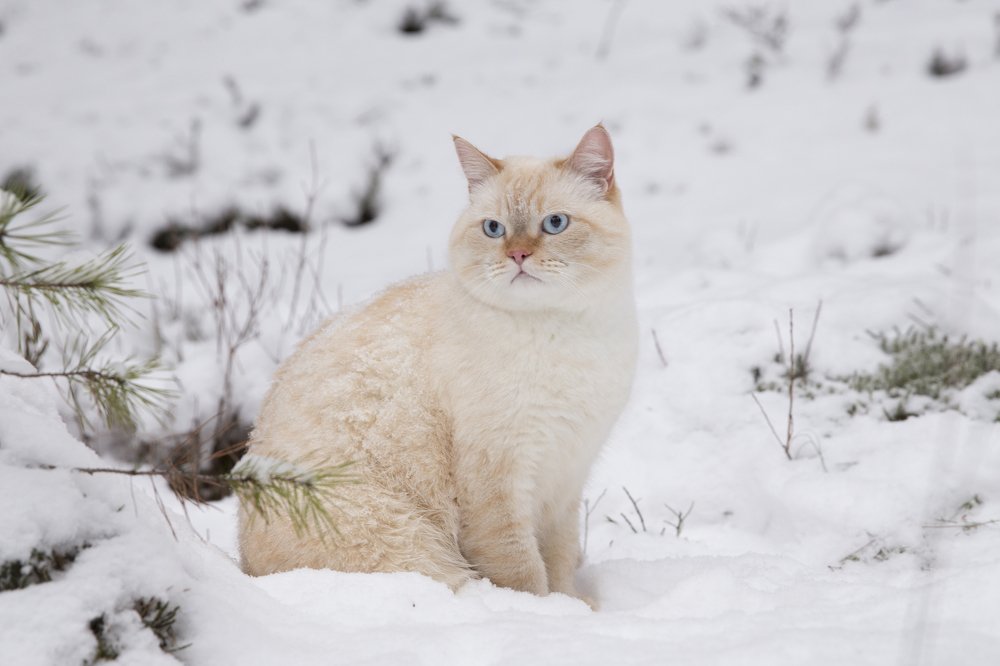 Фотография автора Клавдия Паргачёва