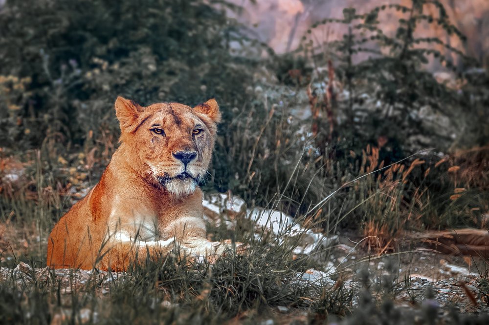 Photograph by Алексей Покровский