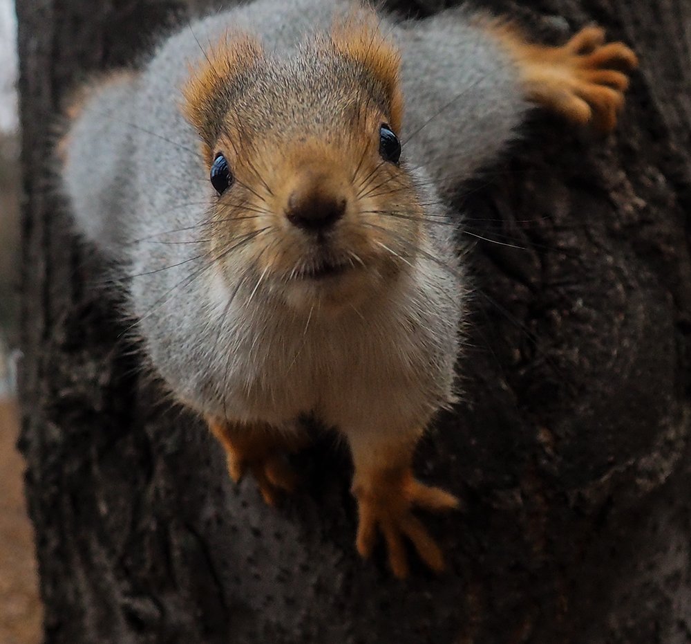 Photograph by Elena Khalizova