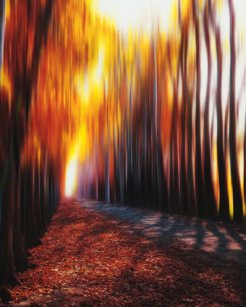 Photograph by Sajad Nori