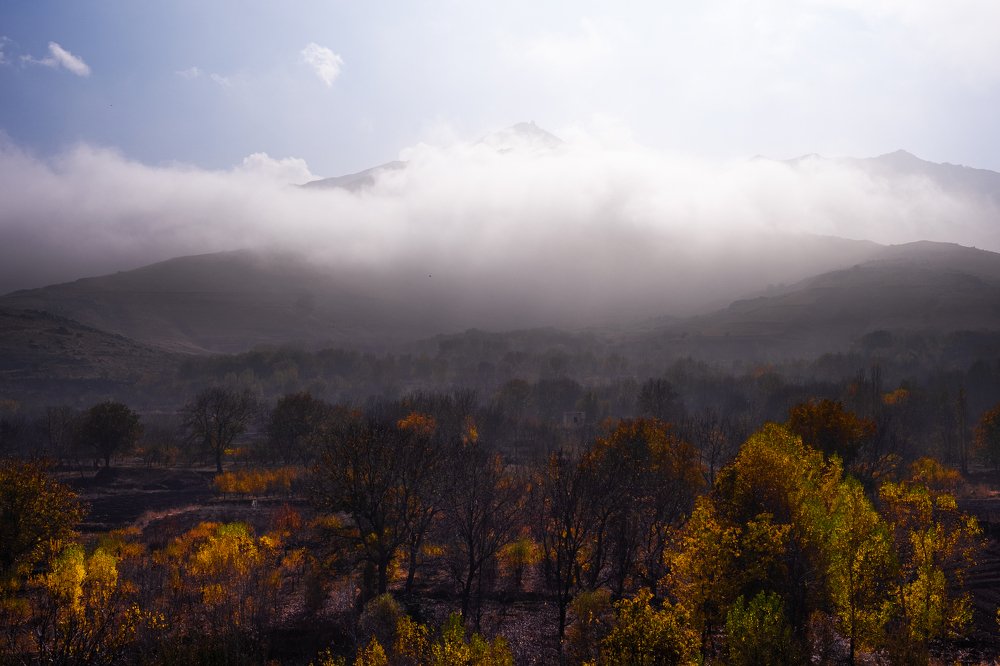 Photograph by Sajad Nori