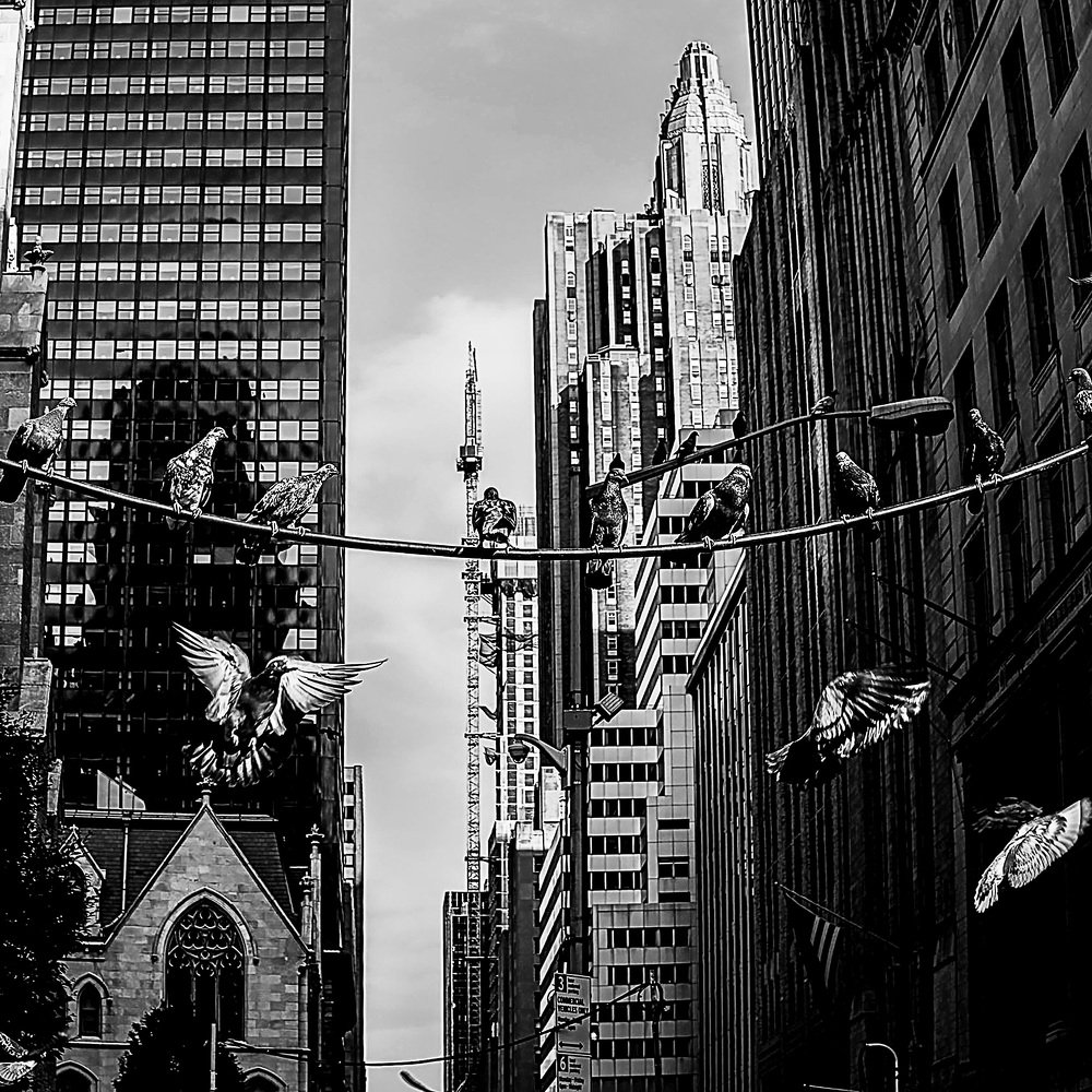 Фотография автора Yulia Dobrynina