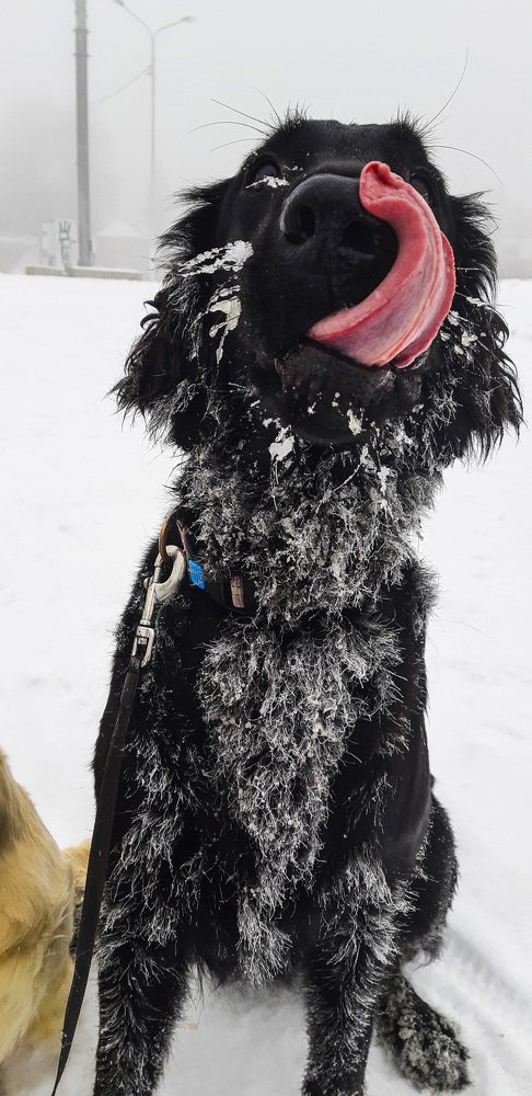 Photograph by Наталия Глазкова