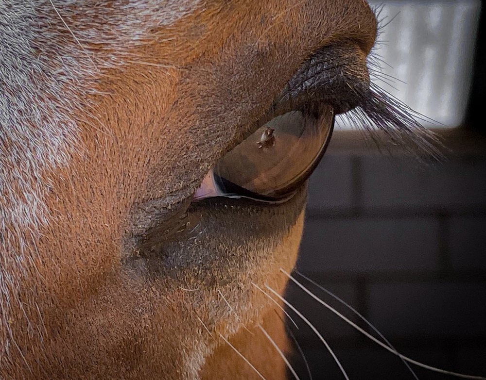 Photograph by LYUDMYLA POKRYSHEN