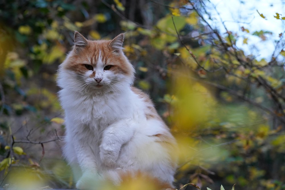 Photograph by Алина Игошева