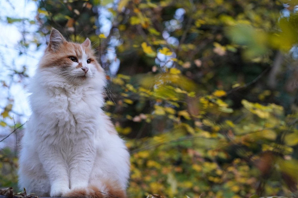 Photograph by Алина Игошева