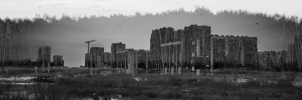 Бетонная роща