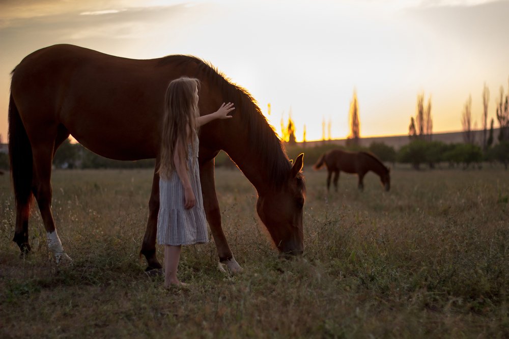 Photograph by Алина Игошева