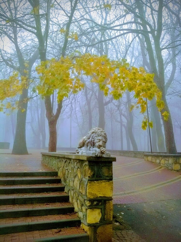 Лев в Центральном парке