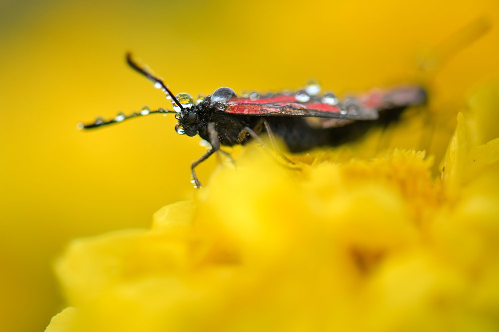 После дождя