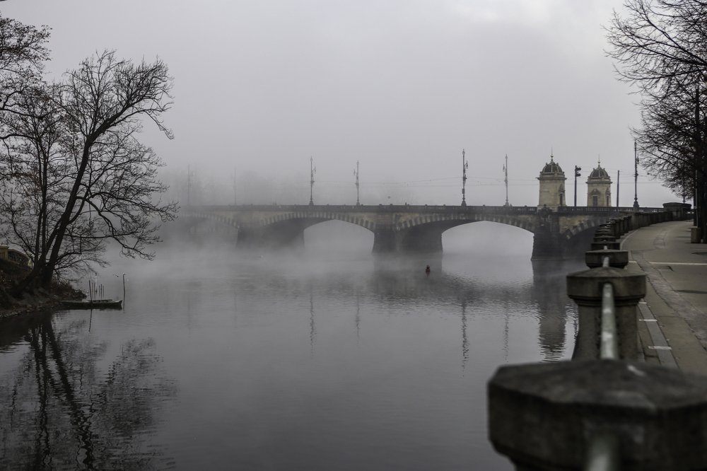 Photograph by Дарья