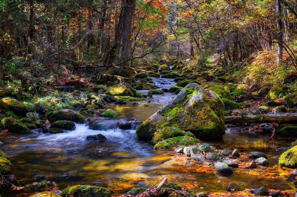 Photograph by Андрей Лабутин