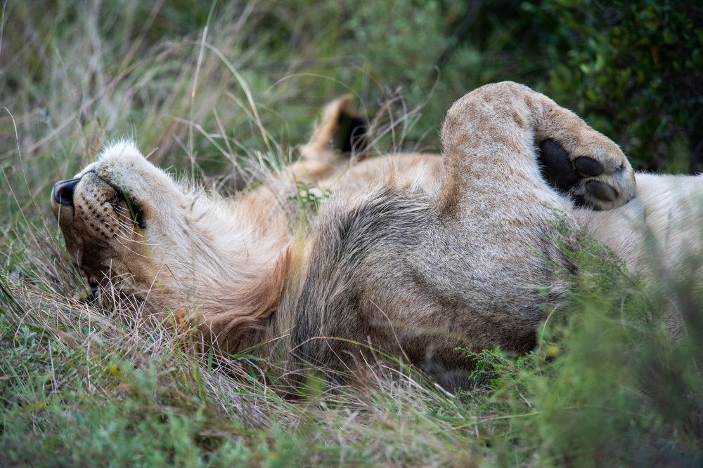 Photograph by Raquel de Castro Maia