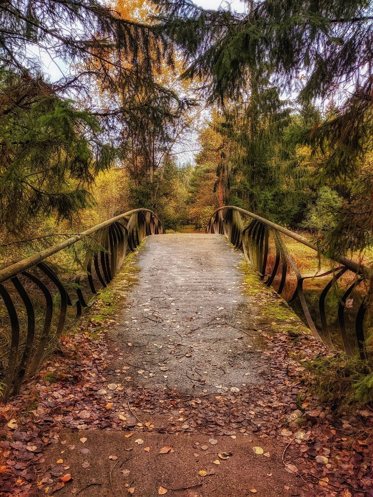 Photograph by Leanid Kulpo