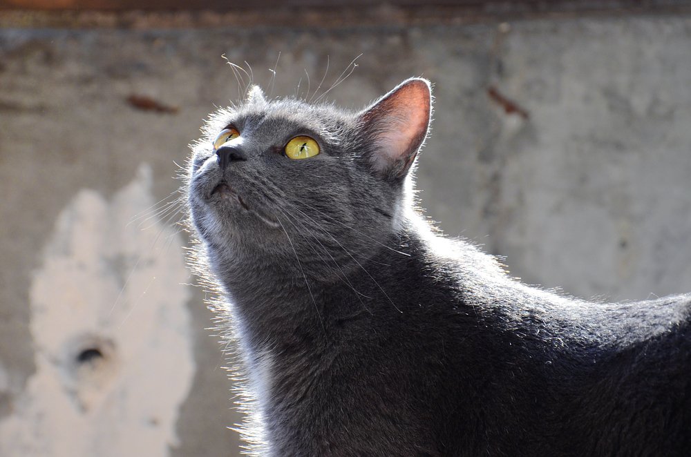 Фотография автора Людмила Куприянова