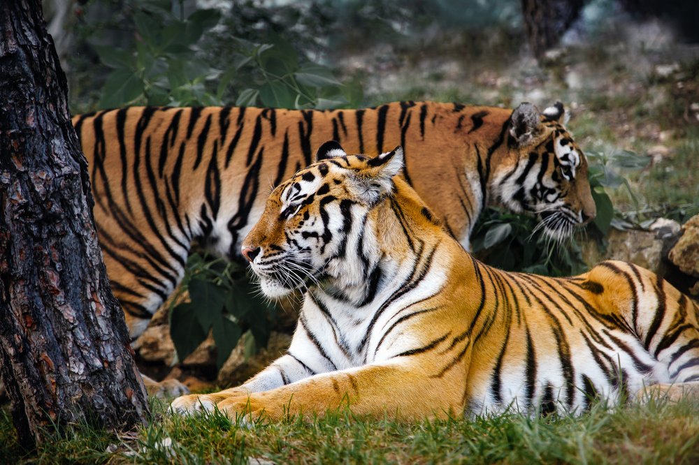 Photograph by Алексей Покровский