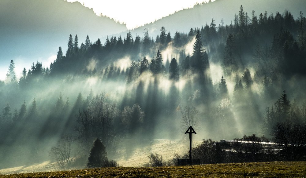 Photograph by David Ilkovic