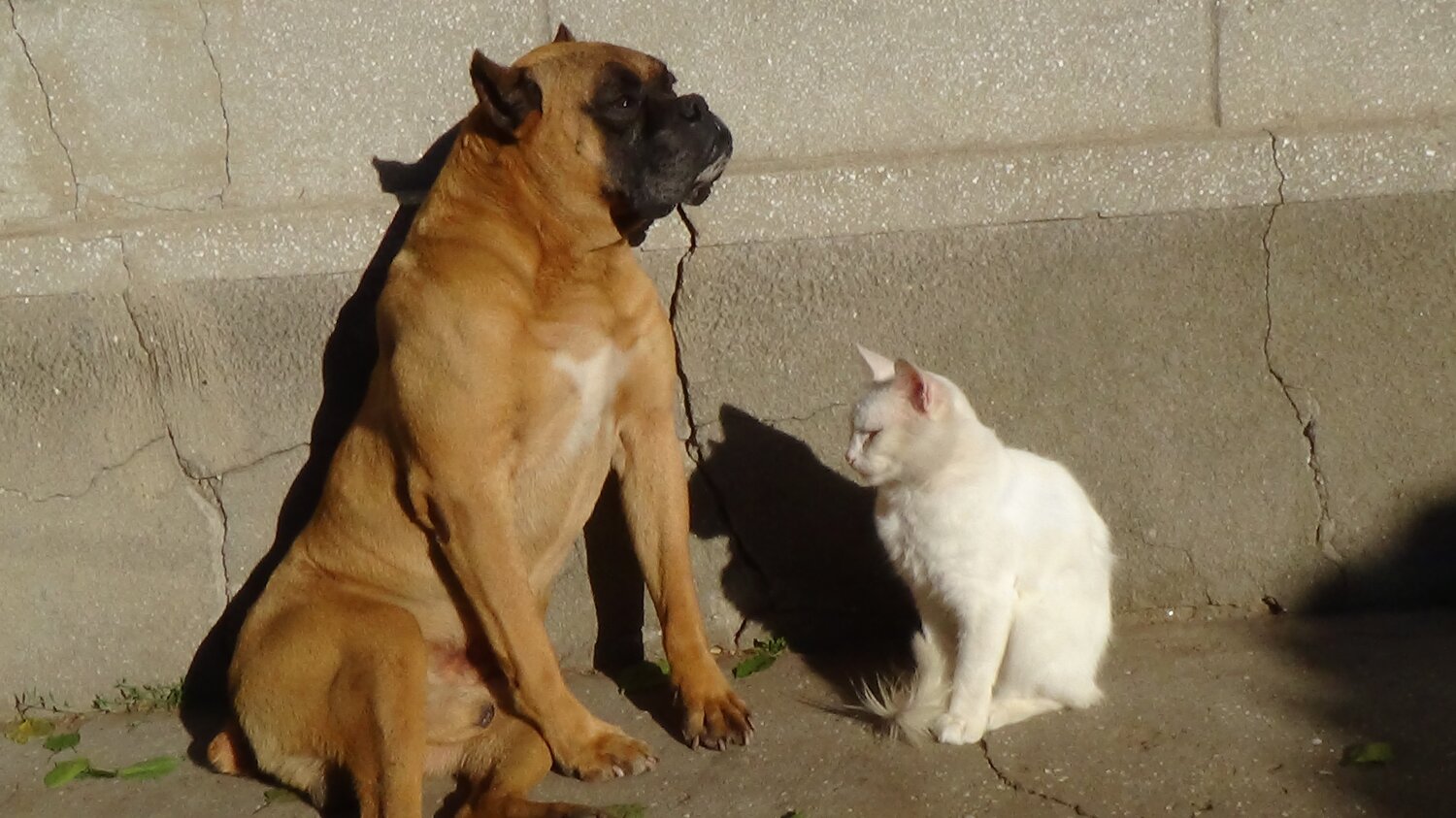 Photo #5310781