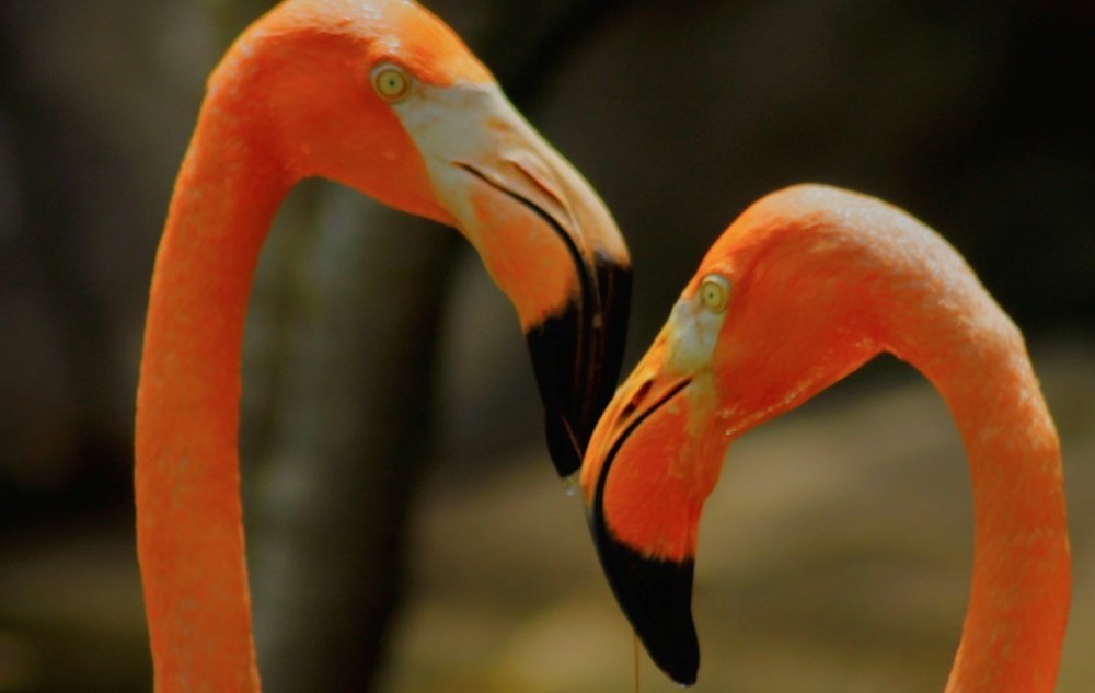 Photograph by Francisco Ferreira