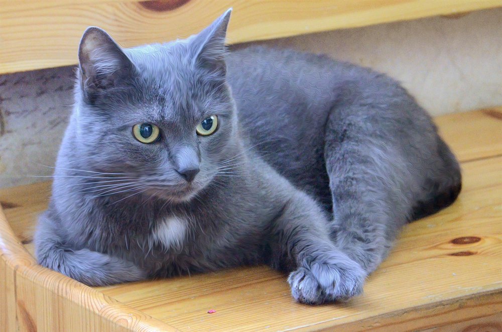 Фотография автора Людмила Куприянова