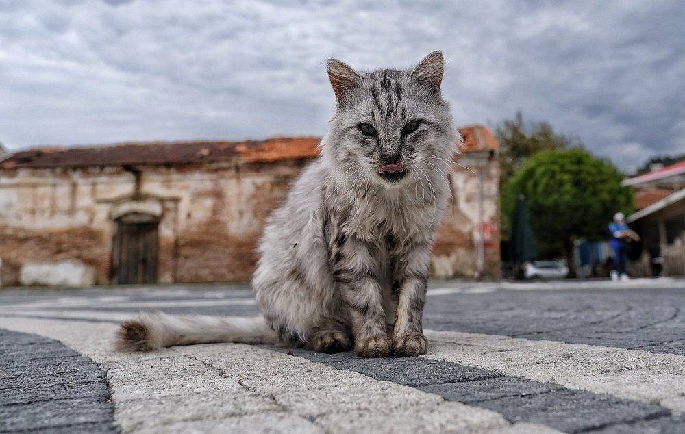 Photograph by Eylem Barış