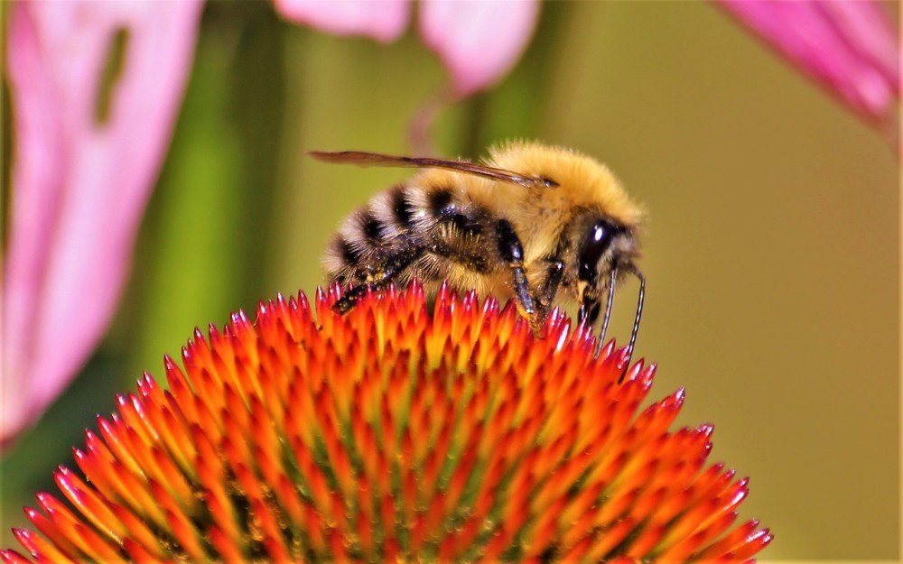 Photograph by Екатерина Апрелева