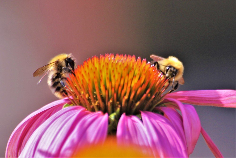 Photograph by Екатерина Апрелева