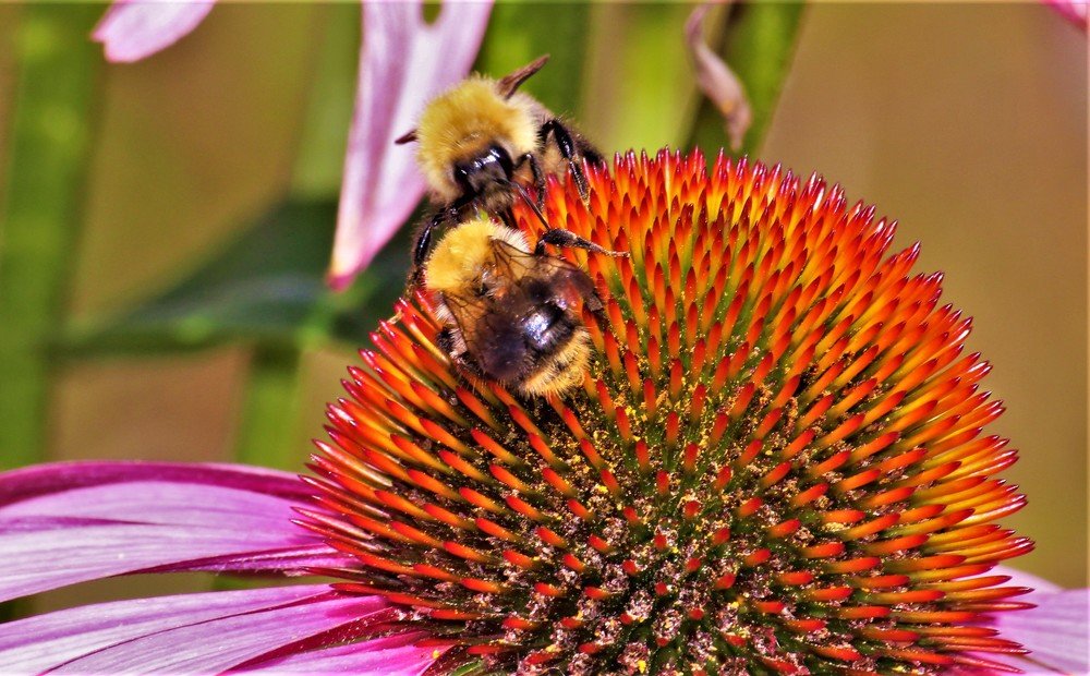 Photograph by Екатерина Апрелева