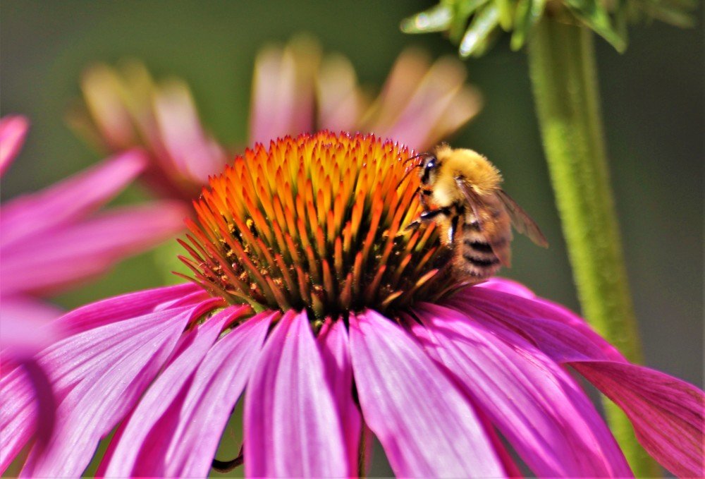 Photograph by Екатерина Апрелева