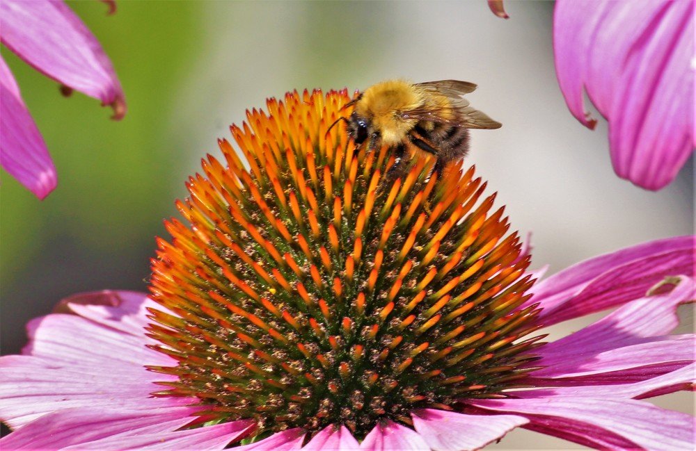 Photograph by Екатерина Апрелева