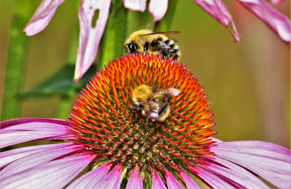 Photograph by Екатерина Апрелева
