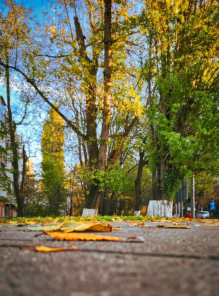 Осенний Новороссийск