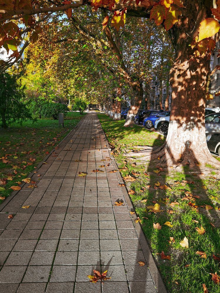 Photograph by Виктория Федосеенко