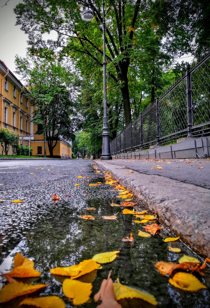 Золотое на тёмном