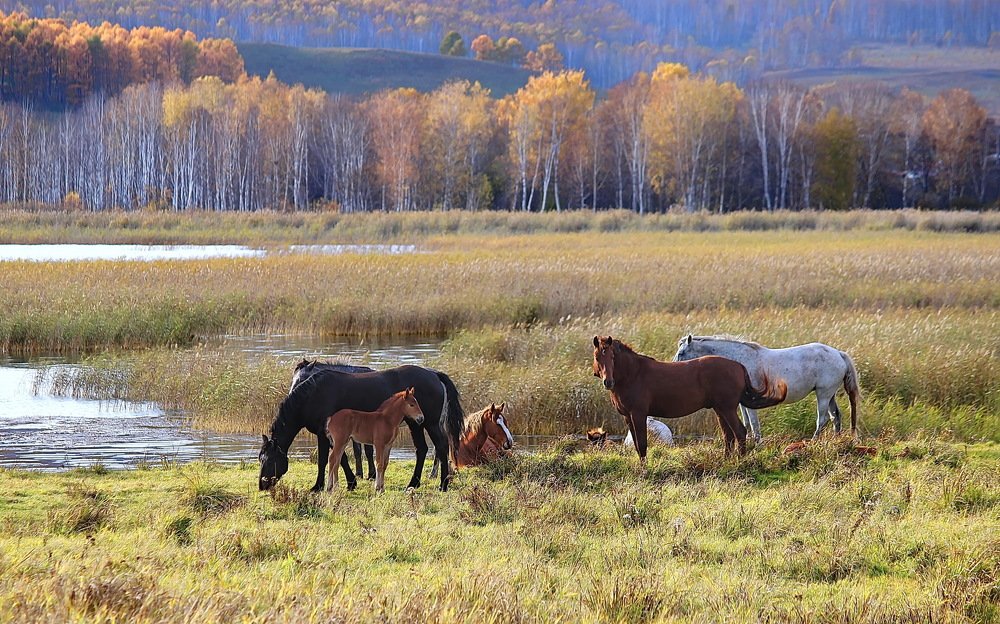 Осенняя благодать...