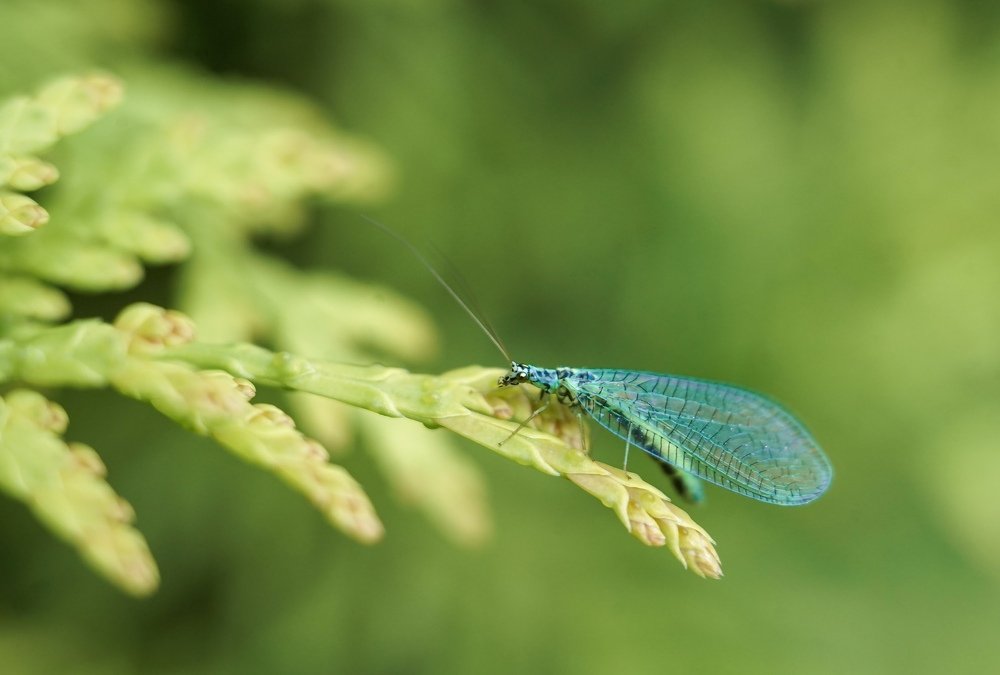 Photograph by Татьяна Александрова