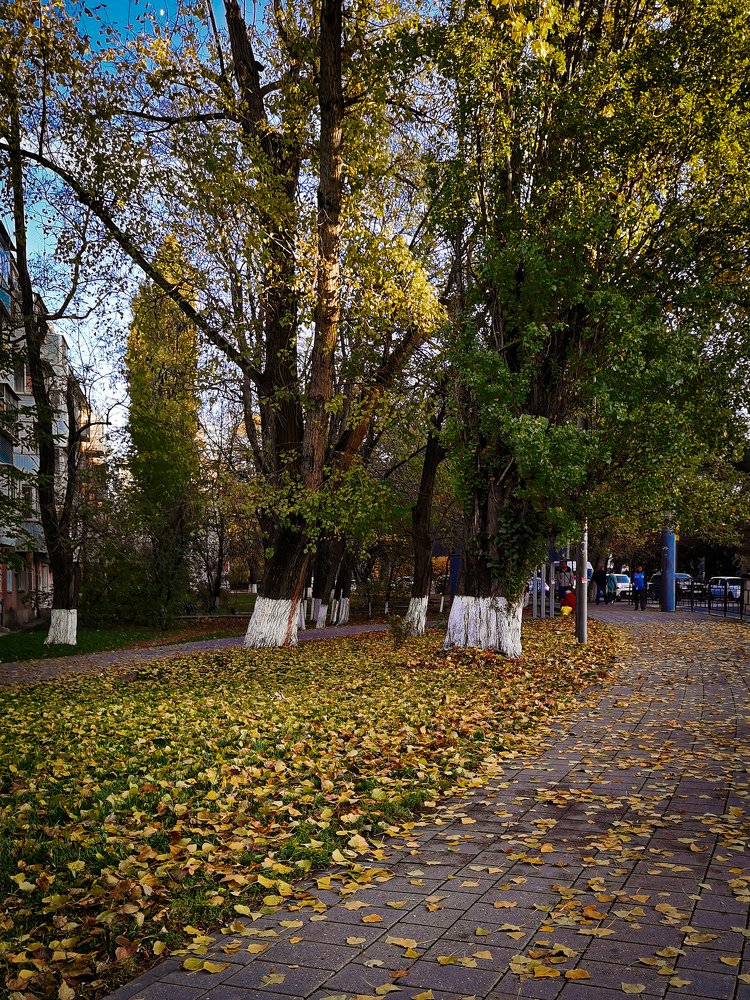 Photograph by Виктория Федосеенко