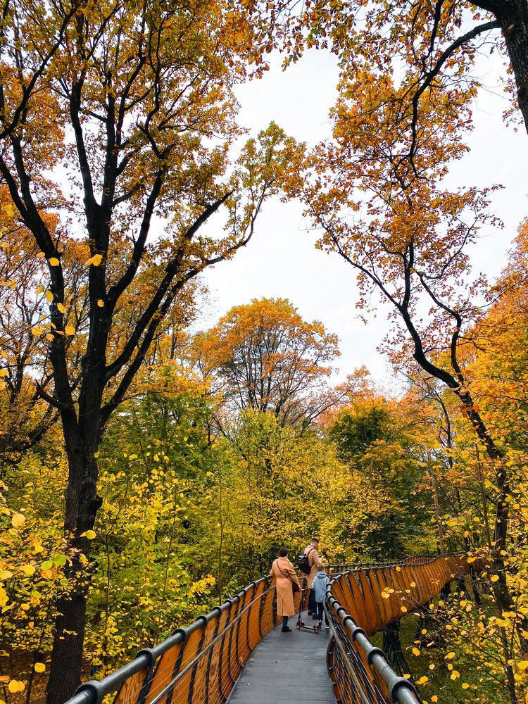 Photograph by Татьяна Азова
