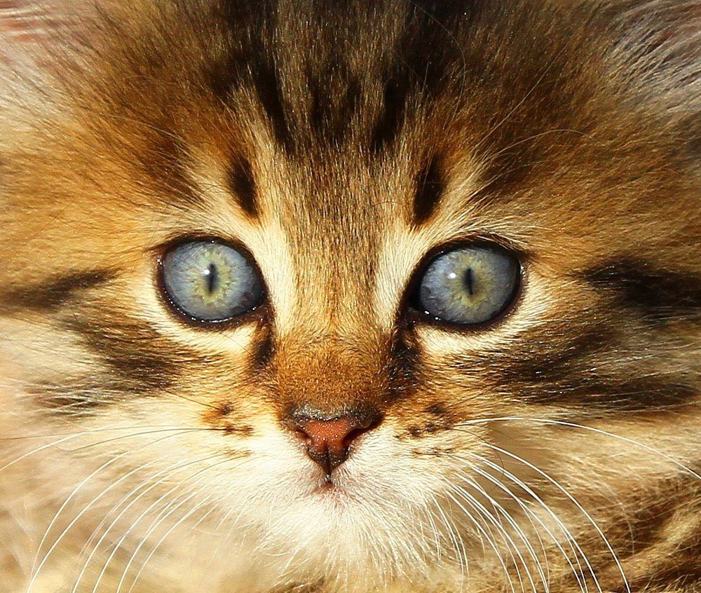 Photograph by Татьяна Александрова