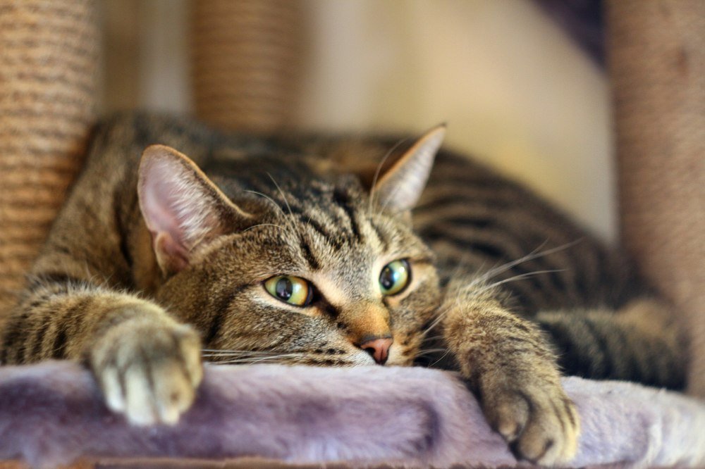 Photograph by Татьяна Александрова