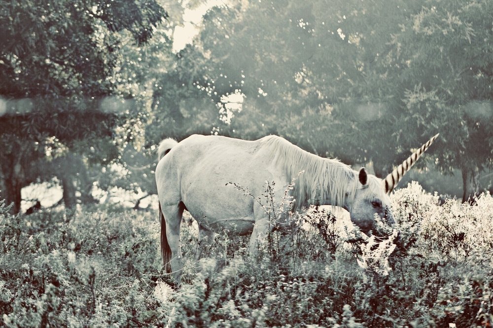 Photograph by Milena Ferreira