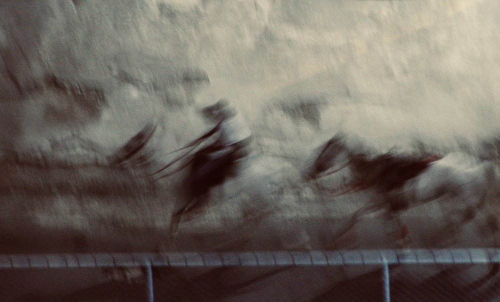 Photograph by Milena Ferreira