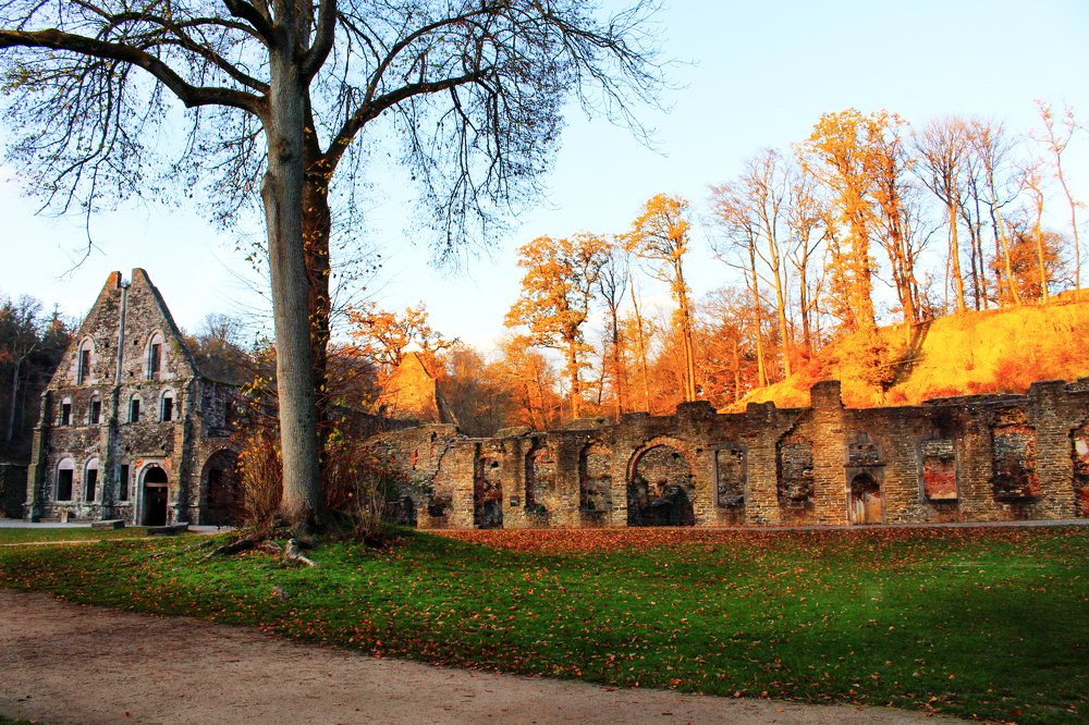 Photograph by Наталья Гайдар