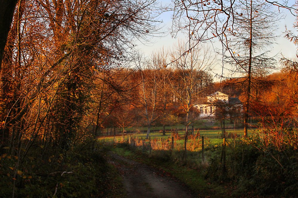 Photograph by Наталья Гайдар